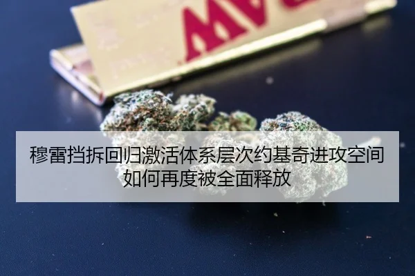 穆雷挡拆回归激活体系层次约基奇进攻空间如何再度被全面释放