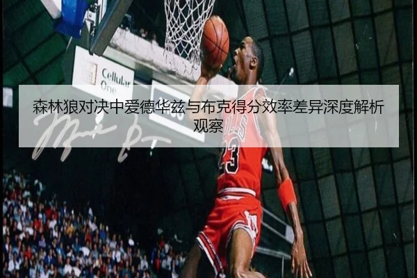 森林狼对决中爱德华兹与布克得分效率差异深度解析观察